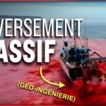 Ils déversent volontairement des tonnes de produits chimiques dans l’océan
