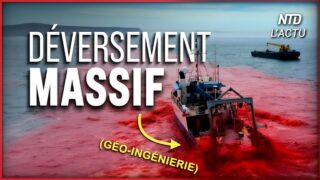 Ils déversent volontairement des tonnes de produits chimiques dans l’océan Ils déversent volontairement des tonnes de produits chimiques dans l’océan