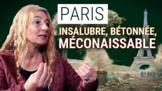 « La bétonisation de Paris suit une idéologie progressiste » — Christine Nedelec, SOS Paris « La bétonisation de Paris suit une idéologie progressiste » — Christine Nedelec, SOS Paris