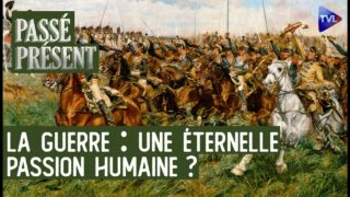 La guerre, miroir de l&rsquo;humanité – Passé-Présent avec Philippe Capron – TVL