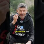 La règle d&rsquo;or du jeûne   intensité vs durée pourquoi 2 jours de jeûne sec