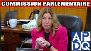 ⚖️ PL13: trop de pouvoir aux policiers?