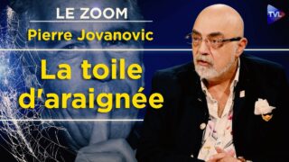 Scandale Epstein : nouvelles révélations de Pierre Jovanovic ! Le Zoom – TVL