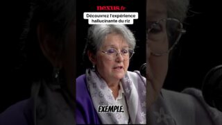 Vos mots peuvent détruire la matière : l&rsquo;expérience hallucinante du riz