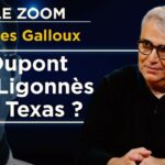 Xavier Dupont de Ligonnès : la piste américaine relance l’affaire – Le Zoom – Gilles Galloux – TVL