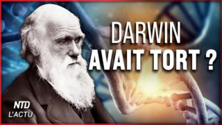 Ce que les scientifiques ont découvert dans l&rsquo;ADN remet tout en question