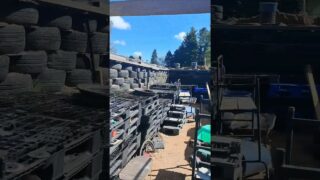 Chantier de la serre semi-enterrée et les semis qui commencent à sortir 🌱 Chantier de la serre semi-enterrée et les semis qui commencent à sortir 🌱