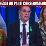 đł Couper 1584 arbres sans financement : le PCQ dit NON đł Couper 1584 arbres sans financement : le PCQ dit NON
