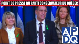 🌳 Couper 1584 arbres sans financement : le PCQ dit NON