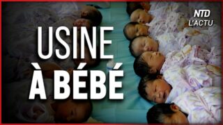 Des milliardaires chinois engendrent des centaines d&rsquo;enfants par GPA aux USA. Voici pourquoi.
