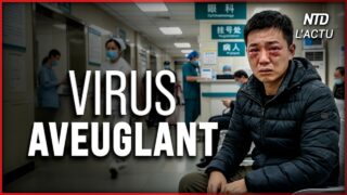 En Chine un virus marin franchit la barrière des espèces et affecte la vue