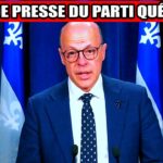 🃏 Fréchette brassage de cartes : rien ne change !