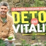 La grande confusion alimentaire : détox ou vitalité ?