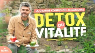 La grande confusion alimentaire : détox ou vitalité ? La grande confusion alimentaire : détox ou vitalité ?