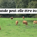 La viande peut-elle être écolo ?