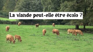 La viande peut-elle être écolo ? La viande peut-elle être écolo ?