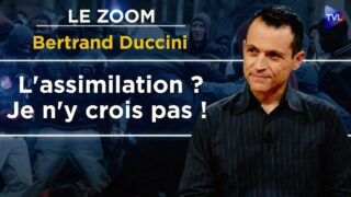 Le racisme antiblanc expliqué par la psychanalyse – Le Zoom – Bertrand Duccini – TVL