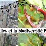 Les villes et la biodiversité Punk ! Les villes et la biodiversité Punk !