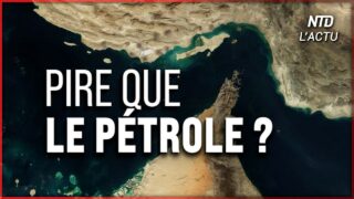 Ormuz : Le compte à rebours de la crise alimentaire mondiale a commencé