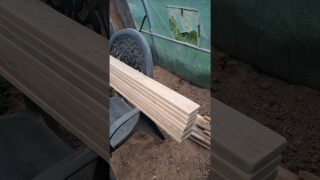 #palette #chiling 🤠