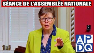 🔥 PL13 adopté sur division : QS dit non au registre des délinquants sexuels