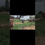 Planches de récup palettes #futur #projet #diy 🤩