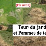 Plantation des Pommes de Terre (+ Petit Tour du Jardin)
