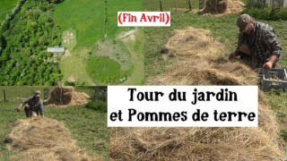 Plantation des Pommes de Terre (+ Petit Tour du Jardin)