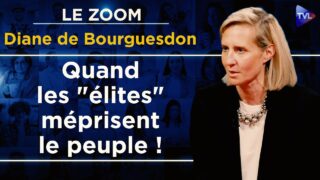 Prolophobie, un racisme systémique ! Le Zoom – Diane de Bourguesdon – TVL