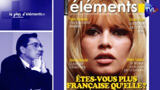 Qu’est-ce que la France aujourd’hui ? Le Plus d&rsquo;Eléments – TVL