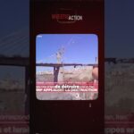 TRUMP VEUT-IL VRAIMENT SAUVER LES FEMMES EN IRAN ?