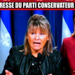 🌳 12 284 signatures contre la coupe d&rsquo;arbres sur le tramway!