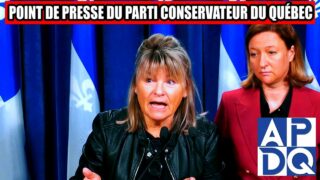 🌳 12 284 signatures contre la coupe d&rsquo;arbres sur le tramway!