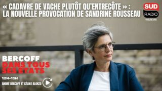 « Cadavre de vache plutôt qu’entrecôte » : la nouvelle provocation de Sandrine Rousseau
