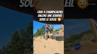 Cave à champignons Encore une journée sous le soleil 🌞 Cave à champignons Encore une journée sous le soleil 🌞