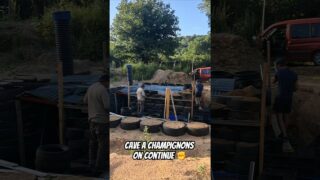 Cave à champignons On continue ✊️ #serre #walipini #aquaponie