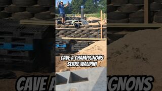 Cave à champignons pour la serre walipini On continue #2