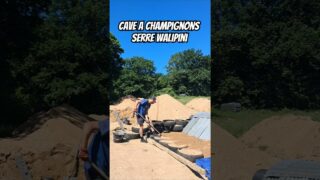 Cave à champignons pour la serre walipini On continue