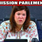 đČ CrĂ©dits forĂȘt 2026 : l’industrie sacrifiĂ©e par la CAQ? đČ CrĂ©dits forĂȘt 2026 : l’industrie sacrifiĂ©e par la CAQ?