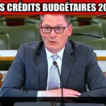 đïž Ăconomie sociale : 142M$ mais quels rĂ©sultats concrets? đïž Ăconomie sociale : 142M$ mais quels rĂ©sultats concrets?