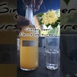 Ginger beer Fleurs de Sureau 🌸 (Recette en description)
