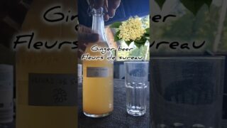 Ginger beer Fleurs de Sureau 🌸 (Recette en description)