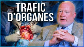 « Ils les sélectionnent en fonction de leur âge et de la qualité de leurs organes »  — Ethan Gutmann