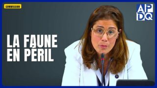 🌿 La nouvelle ministre de l&rsquo;Environnement défend l&rsquo;équilibre économie-nature
