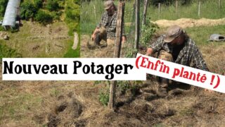 Le nouveau potager commence ENFIN ! Le nouveau potager commence ENFIN !
