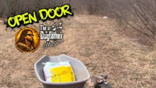 OPEN DOOR -The Dogfather Music-