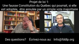 Projet de loi 1: Une fausse Constitution qui pourrait être annulée facilement suite à son adoption