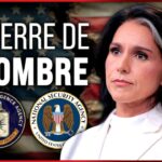 Que cache vraiment la démission de Tulsi Gabbard ? Que cache vraiment la démission de Tulsi Gabbard ?