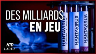 Qui profite vraiment de la crise du Hondius ? Enquête.