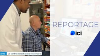 REPLAY – Reportage de France 3 (ICI), Edition Proximité Locale du 11 mai 2026 REPLAY – Reportage de France 3 (ICI), Edition Proximité Locale du 11 mai 2026